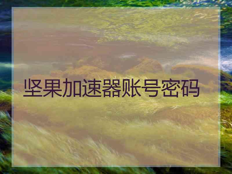 坚果加速器账号密码
