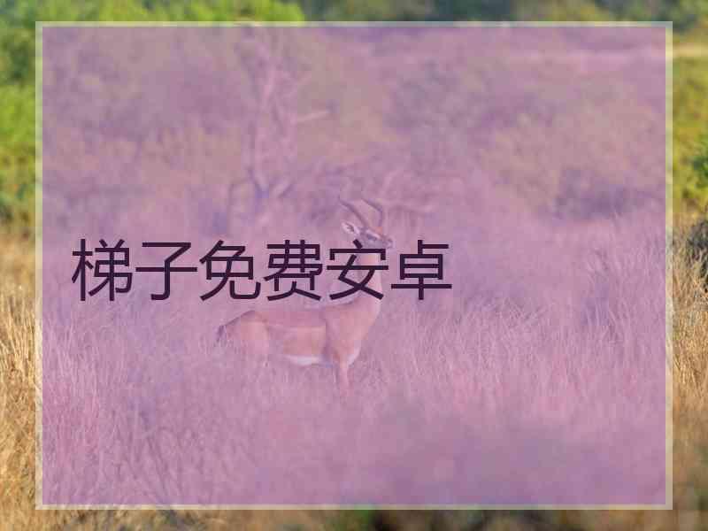 梯子免费安卓