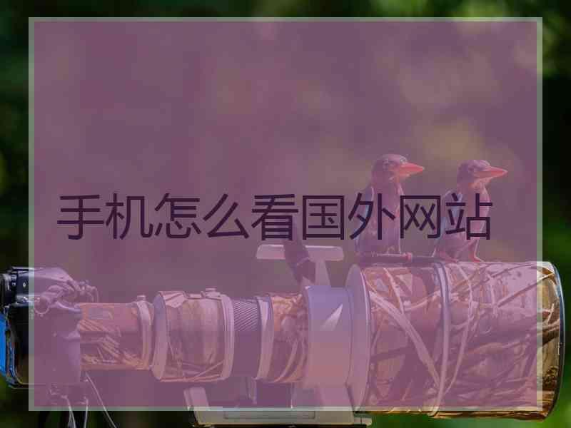 手机怎么看国外网站