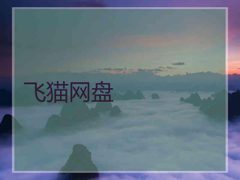 飞猫网盘