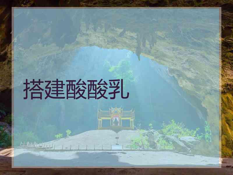 搭建酸酸乳