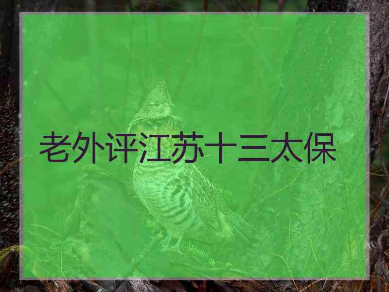 老外评江苏十三太保