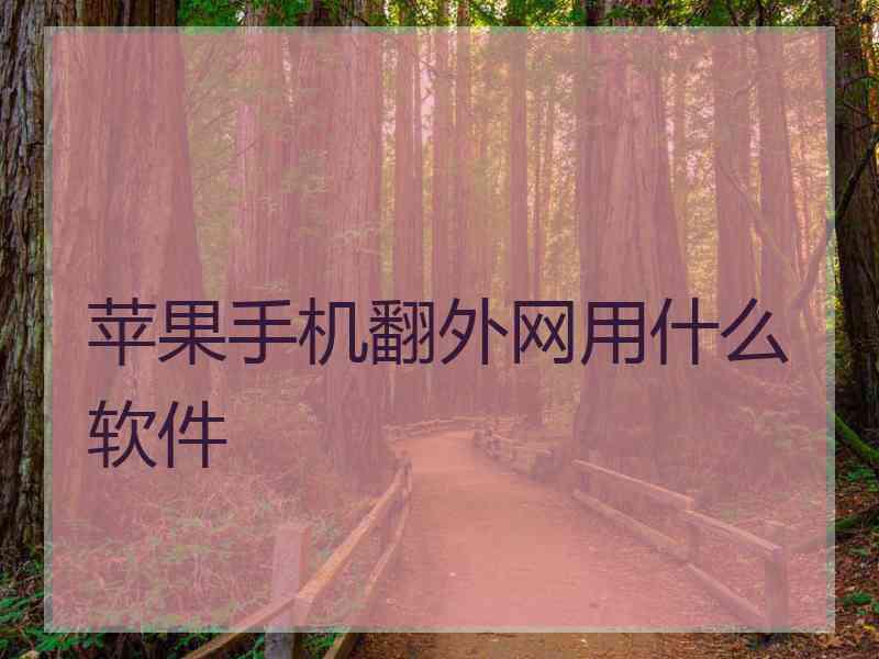 苹果手机翻外网用什么软件