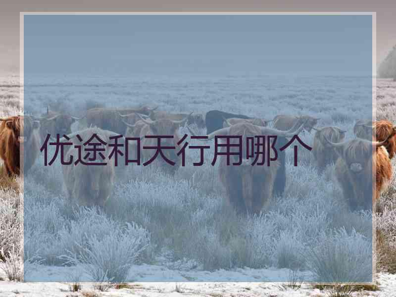 优途和天行用哪个
