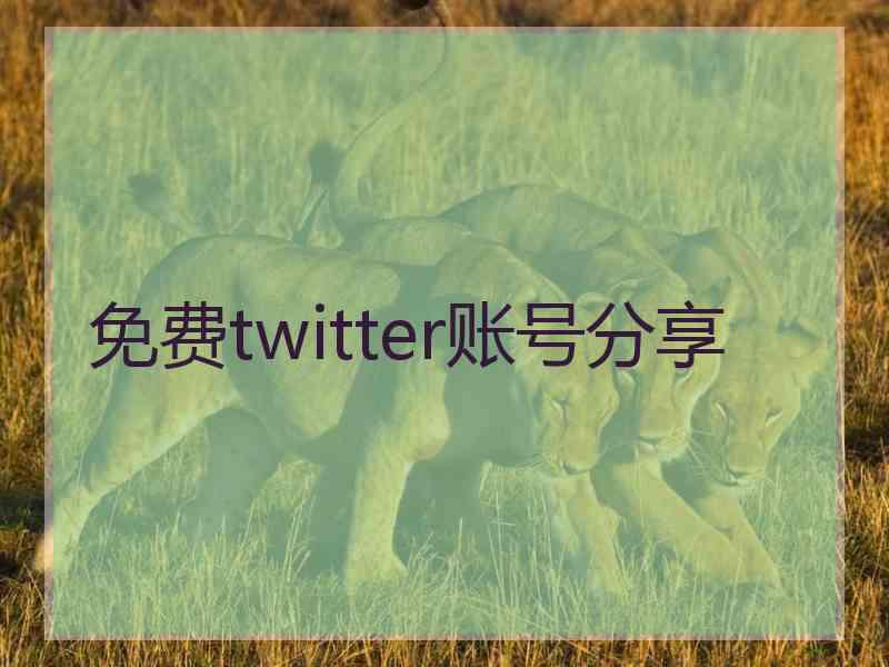 免费twitter账号分享
