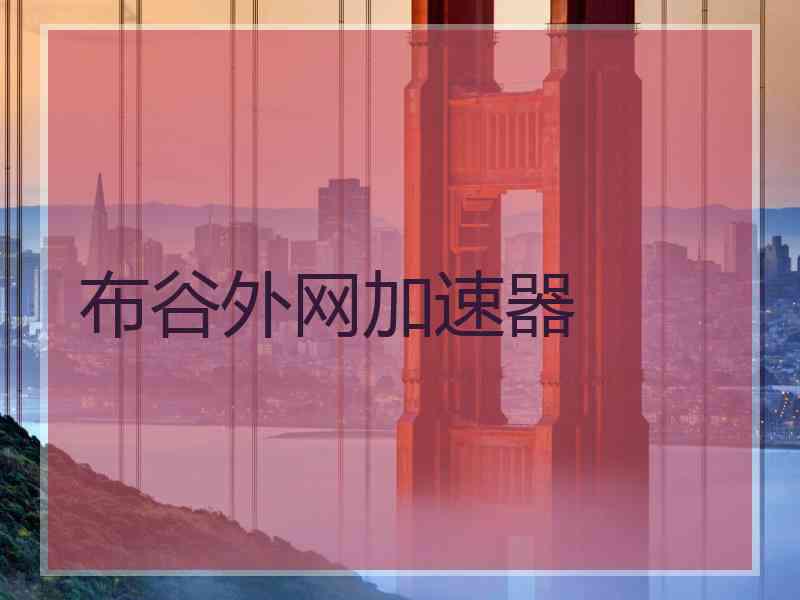 布谷外网加速器