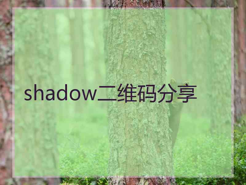 shadow二维码分享