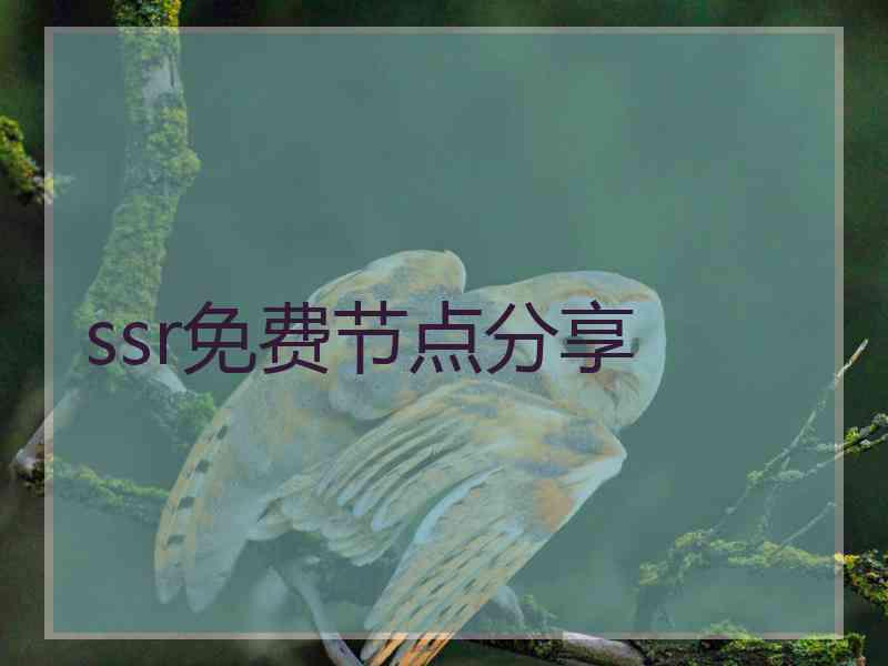 ssr免费节点分享