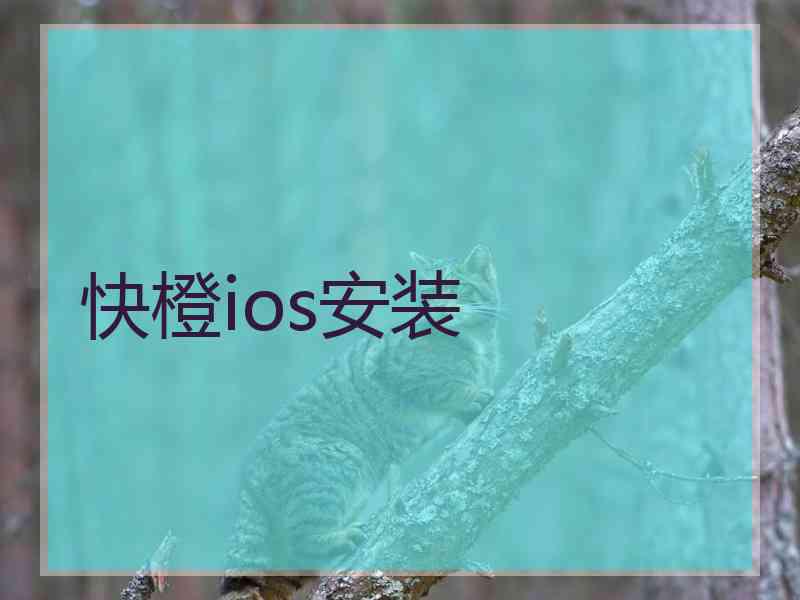 快橙ios安装