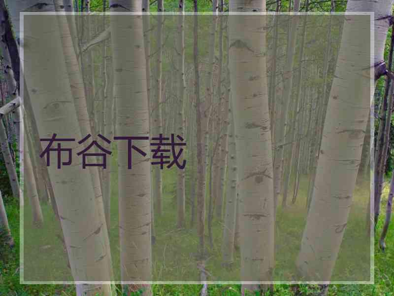 布谷下载
