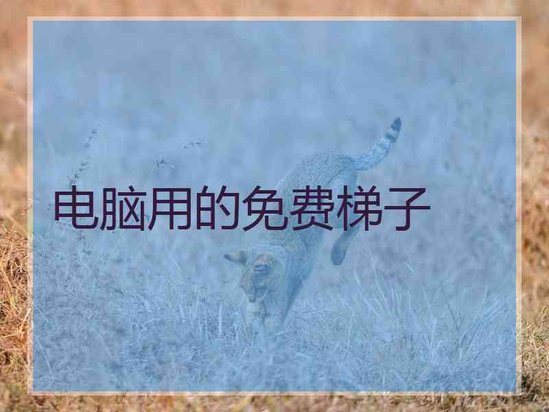 电脑用的免费梯子