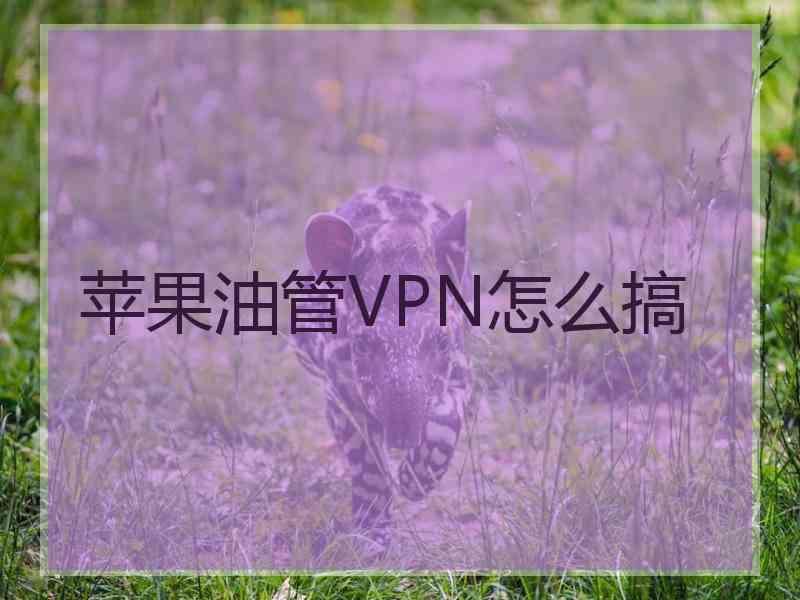 苹果油管VPN怎么搞