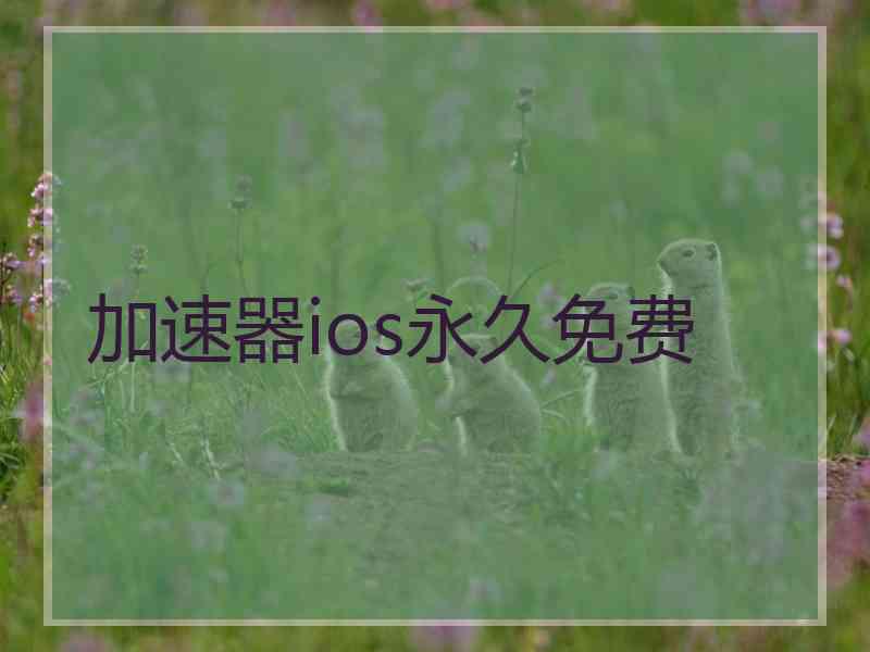 加速器ios永久免费