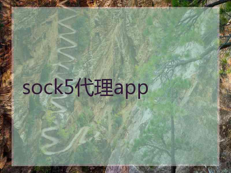 sock5代理app