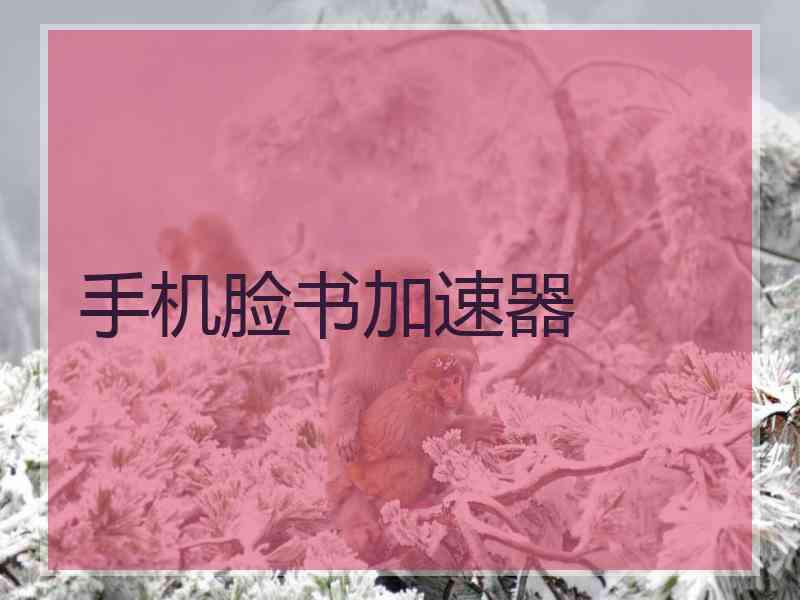 手机脸书加速器