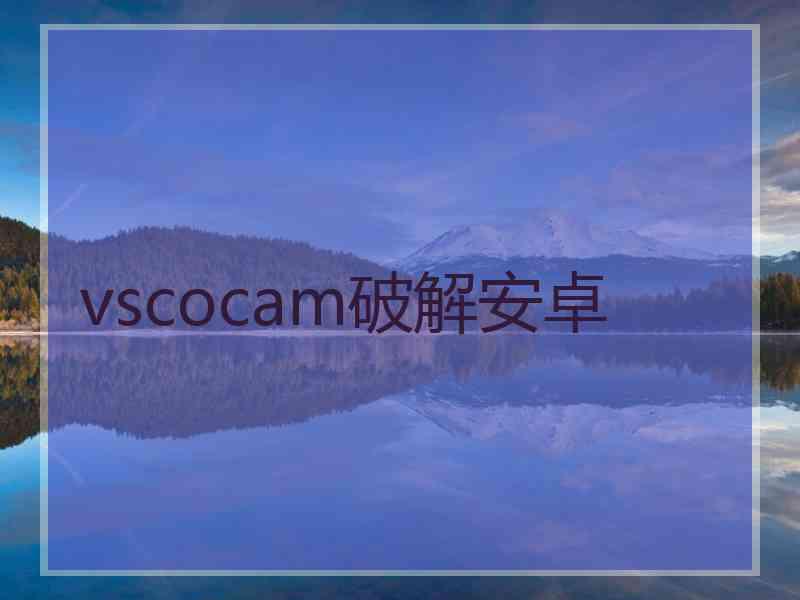 vscocam破解安卓