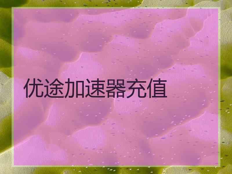 优途加速器充值