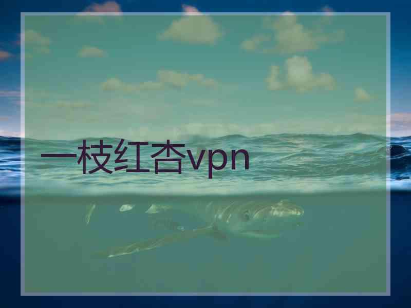 一枝红杏vpn