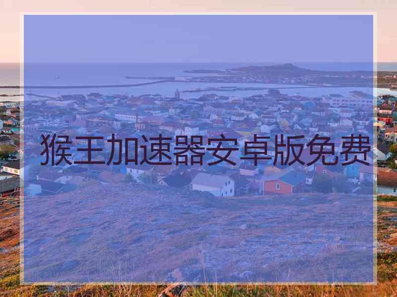 猴王加速器安卓版免费