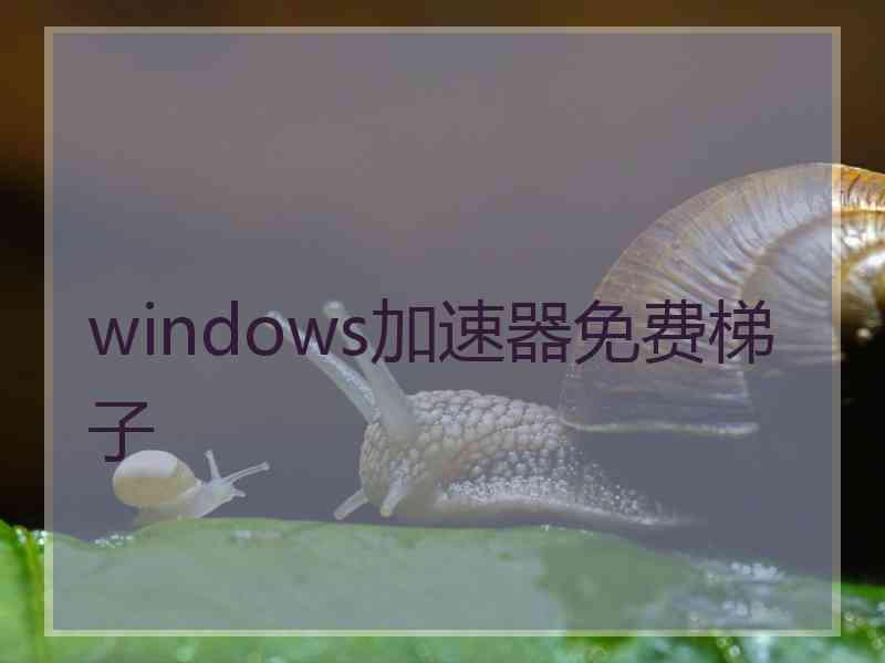 windows加速器免费梯子