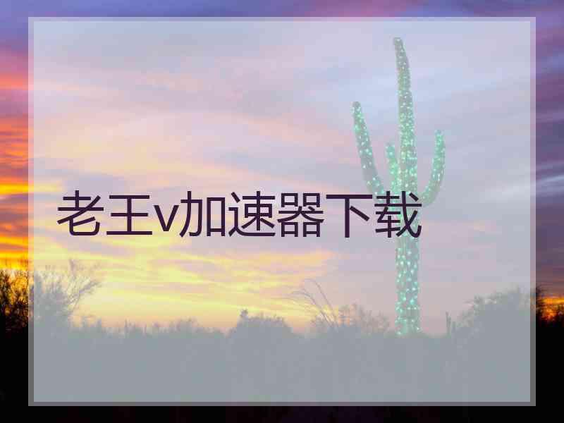 老王v加速器下载