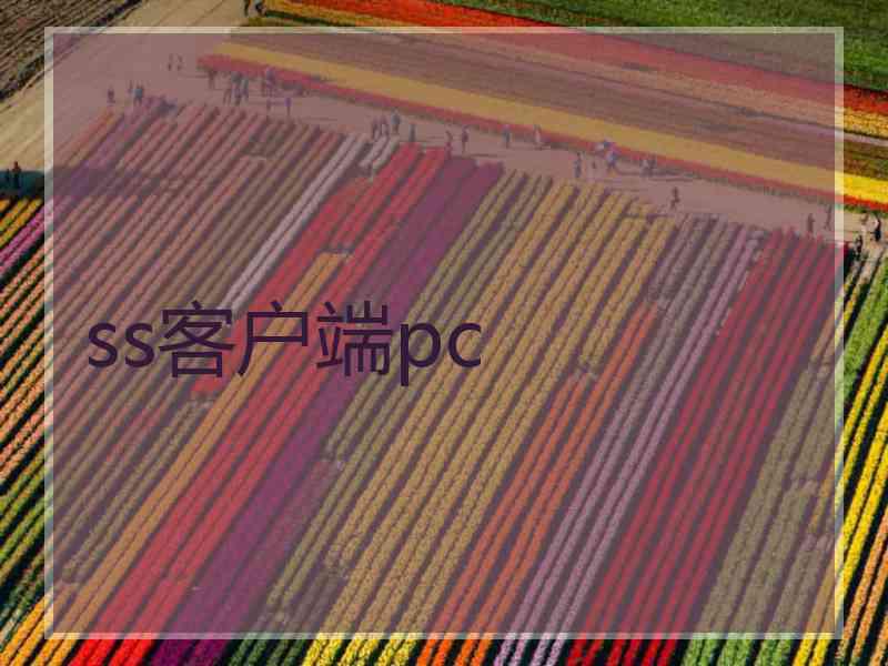 ss客户端pc
