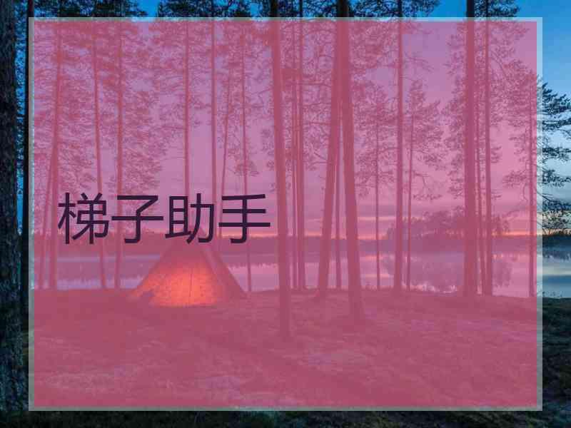 梯子助手