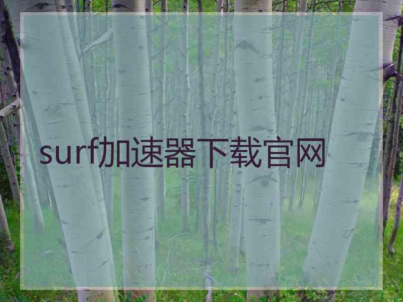 surf加速器下载官网