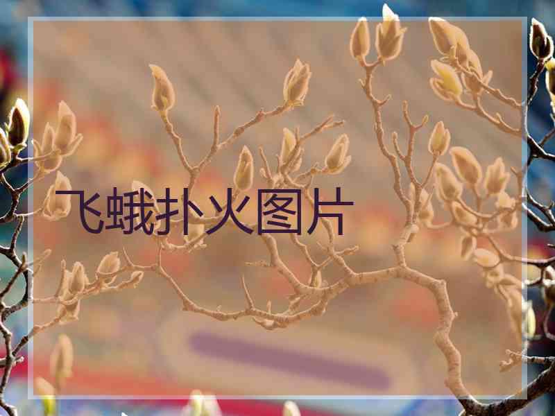 飞蛾扑火图片