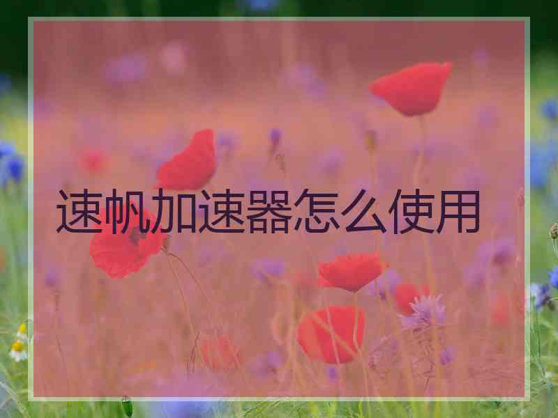 速帆加速器怎么使用