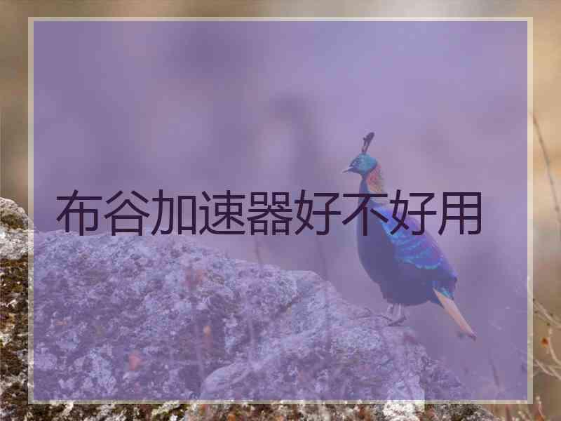 布谷加速器好不好用