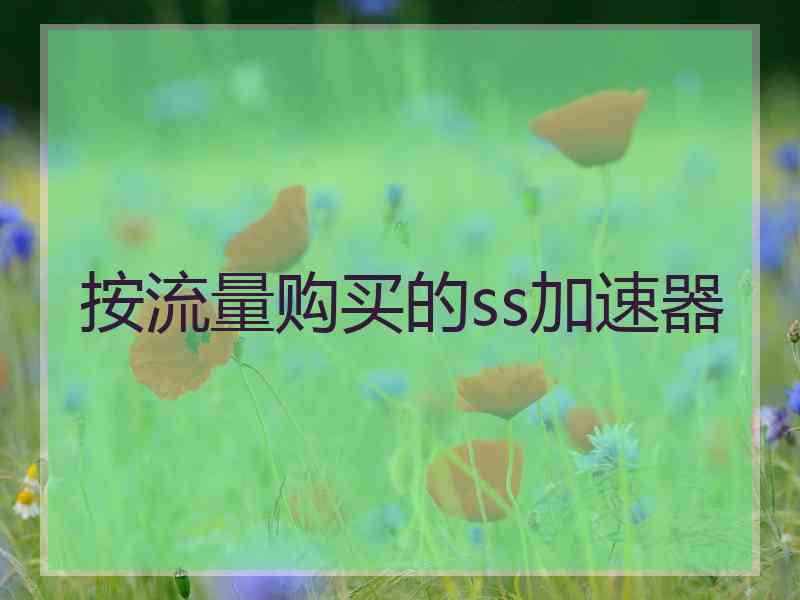 按流量购买的ss加速器