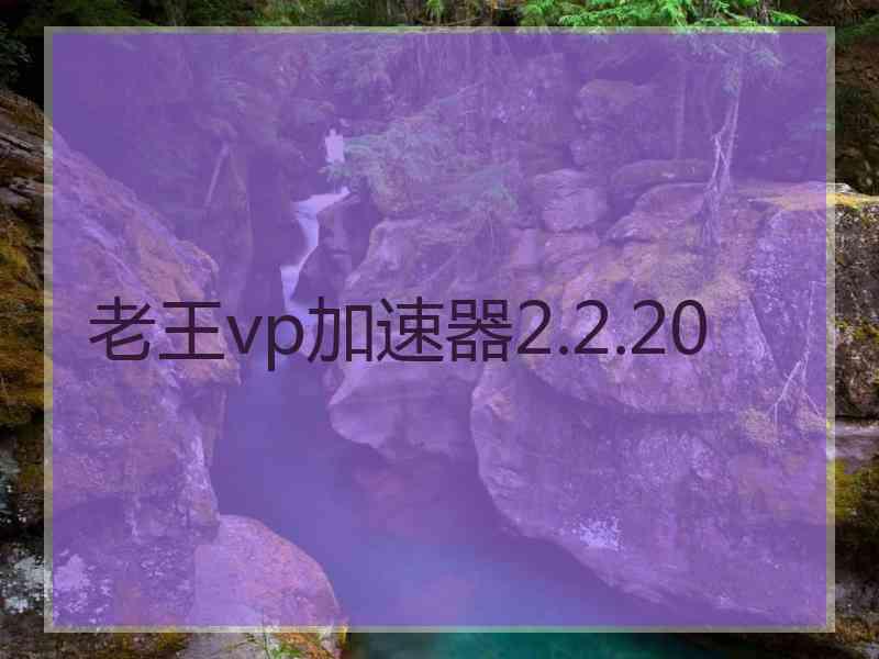 老王vp加速器2.2.20