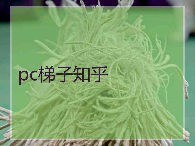 pc梯子知乎