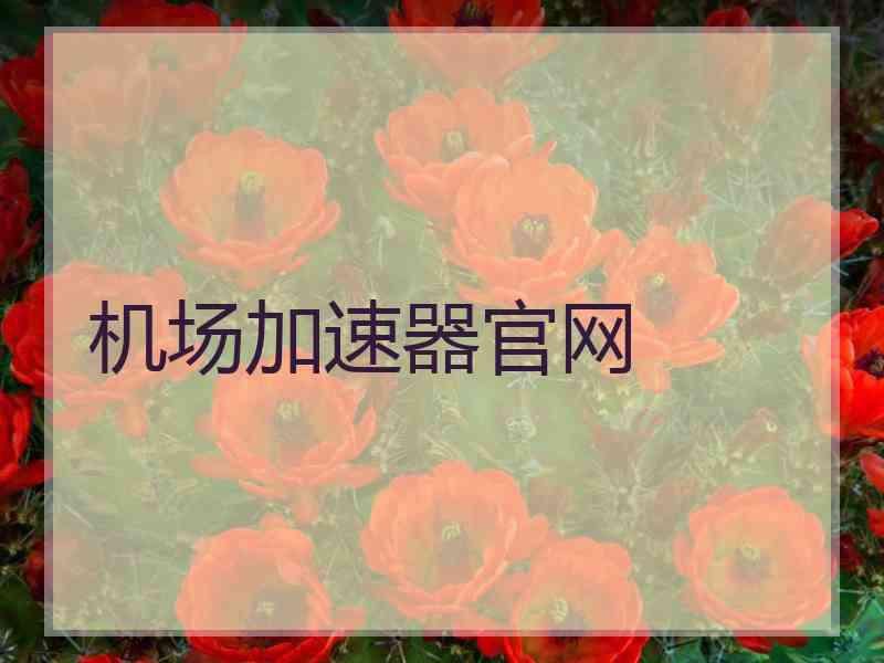 机场加速器官网