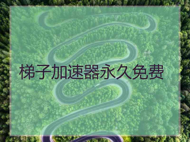 梯子加速器永久免费