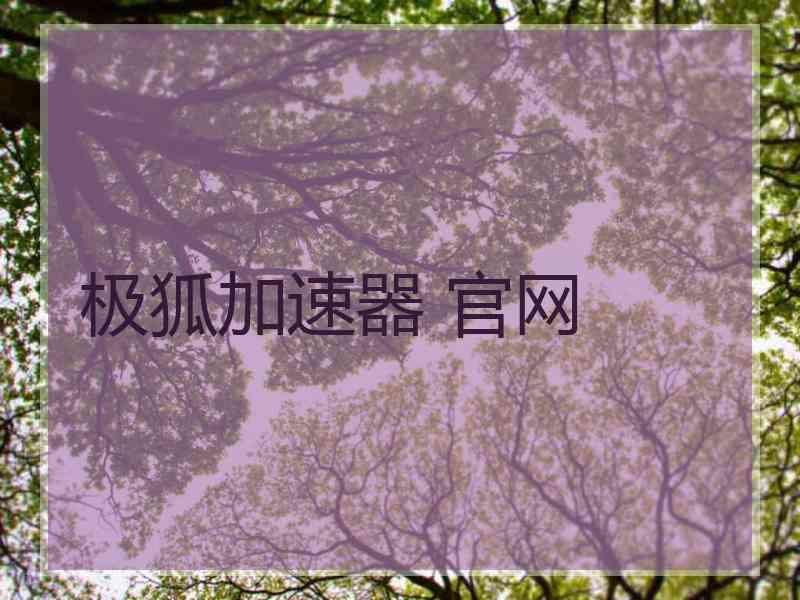 极狐加速器 官网
