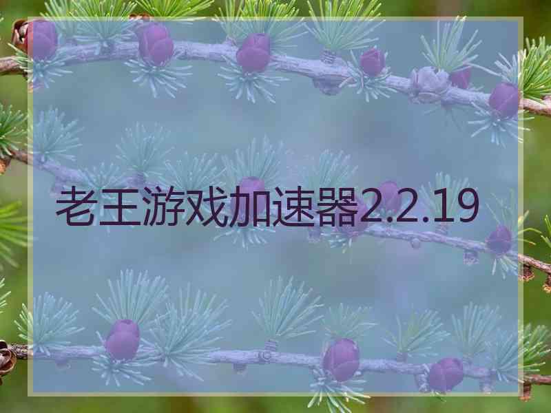 老王游戏加速器2.2.19