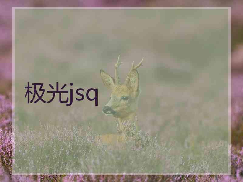 极光jsq