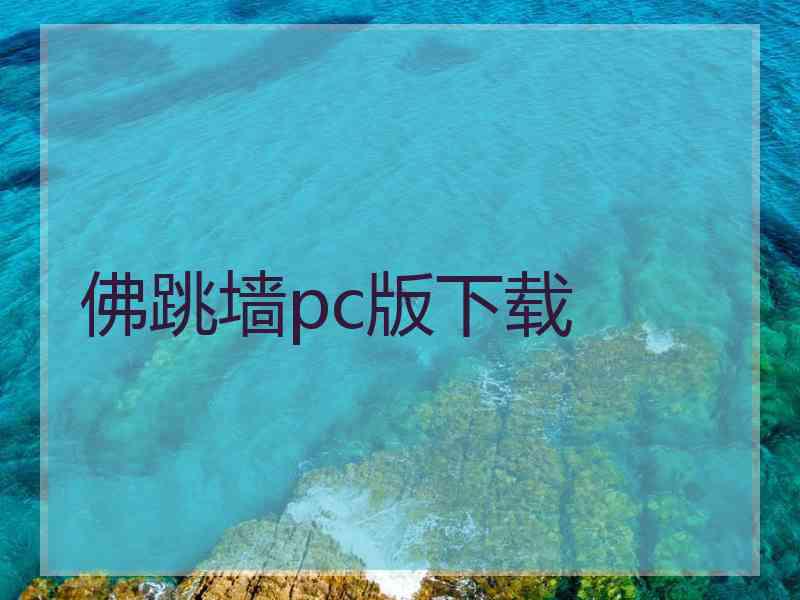 佛跳墙pc版下载