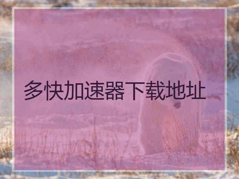 多快加速器下载地址