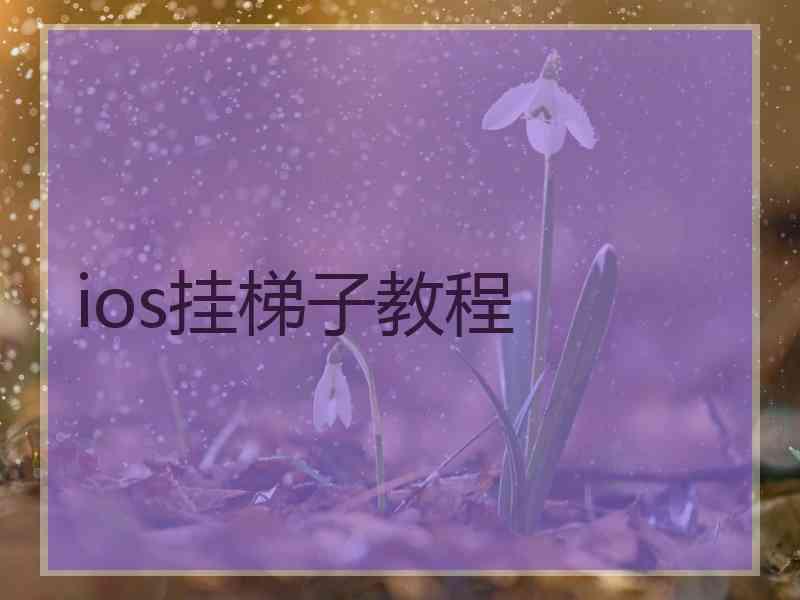 ios挂梯子教程