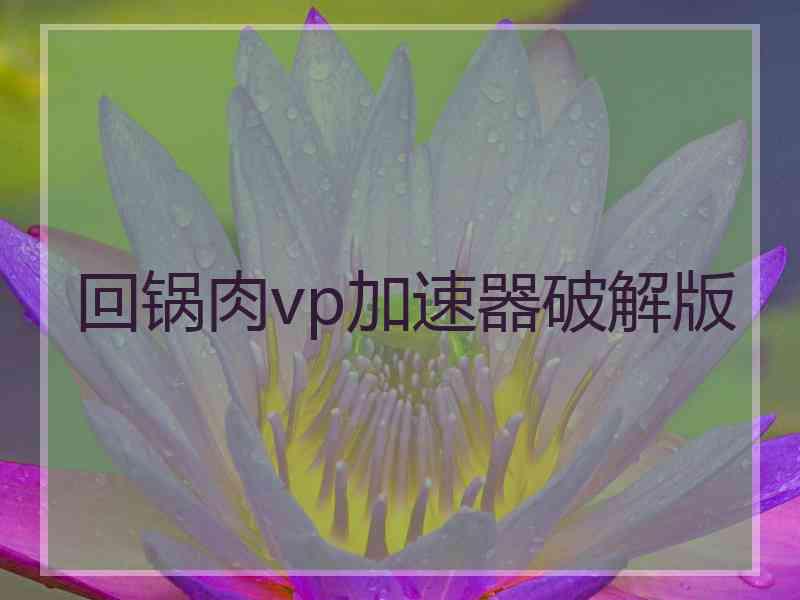 回锅肉vp加速器破解版