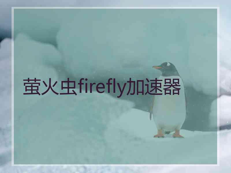 萤火虫firefly加速器