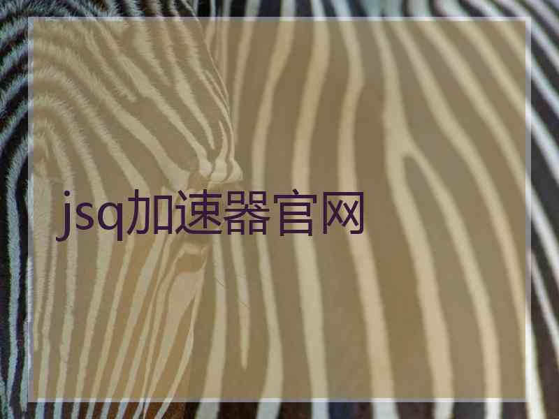 jsq加速器官网