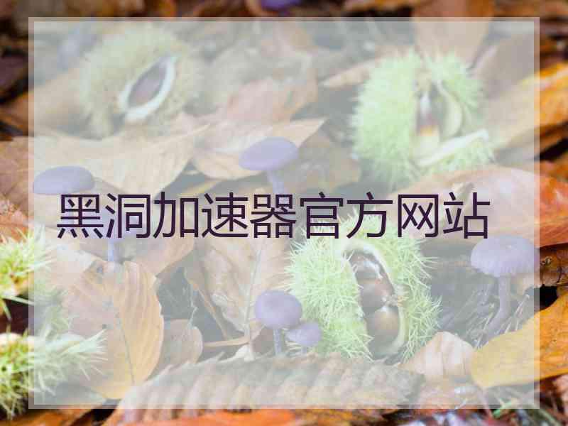 黑洞加速器官方网站