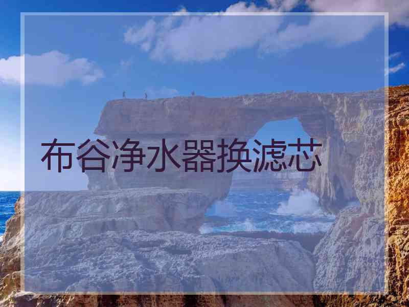布谷净水器换滤芯
