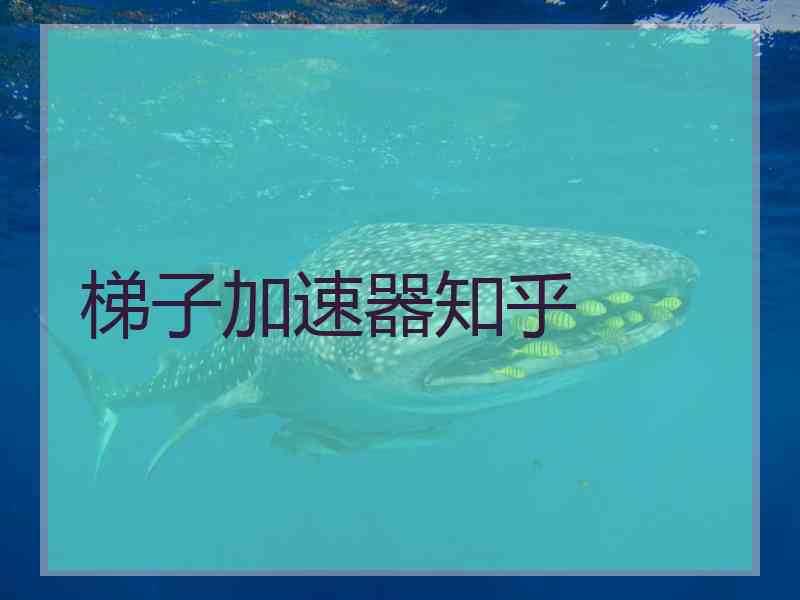 梯子加速器知乎