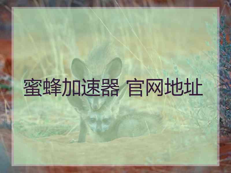 蜜蜂加速器 官网地址
