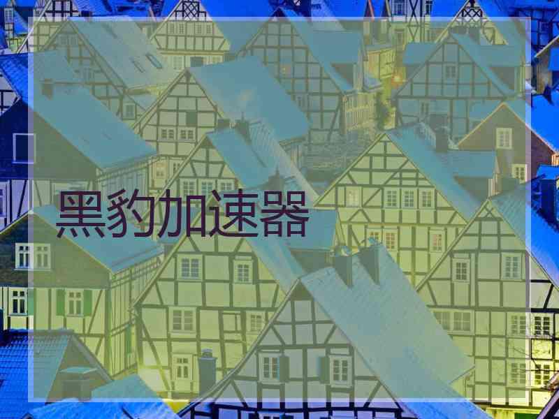 黑豹加速器